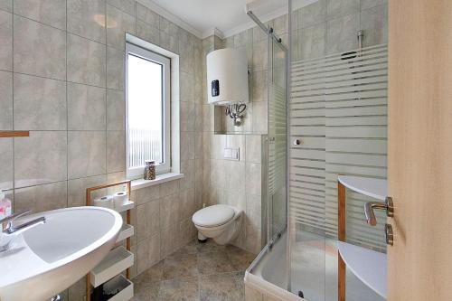 a bathroom with a sink and a toilet and a shower at Ferienwohnung Sonnenblick in Loddin