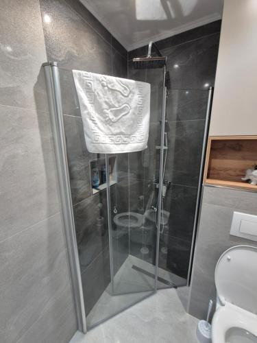 a shower with a glass door in a bathroom at Apartman Ana Bijeljina in Bijeljina