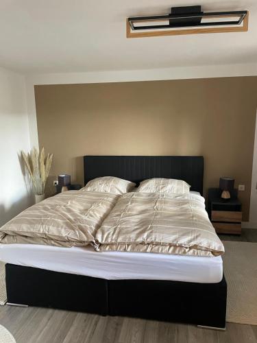 a bedroom with a large bed with a black headboard at Ferienwohnung Wiesenweg in Friedrichroda