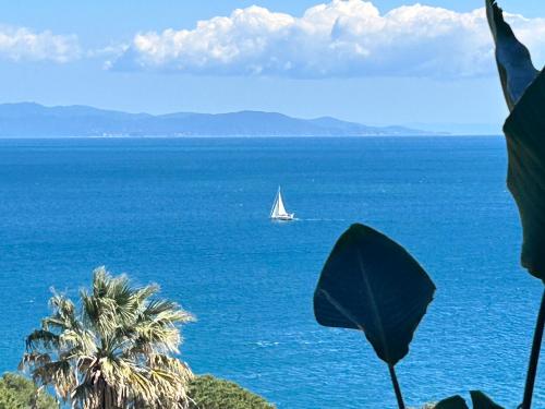 a sail boat in the ocean with a palm tree at Marina Elite Capo D'Arco in Capo D'Arco