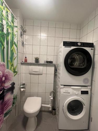 a bathroom with a toilet and a washing machine at Apartment Sebald in Ingolstadt