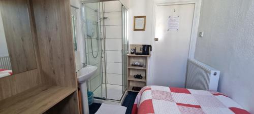 a bathroom with a bed and a sink and a shower at Marine View in Brighton & Hove