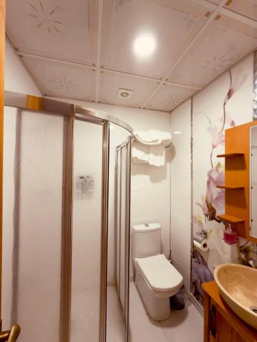 a bathroom with a toilet and a sink at Yusuf Çavuş Konağı in Halfeti
