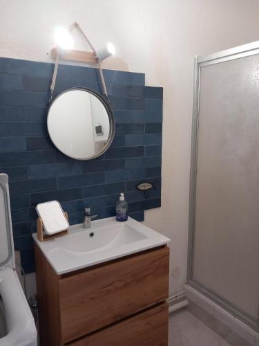 a bathroom with a sink and a mirror at Le goéland in Port Leucate
