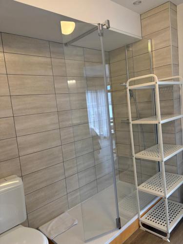 a shower with a glass door and a toilet at Hotel Bellevue in Chambon-sur-Lac