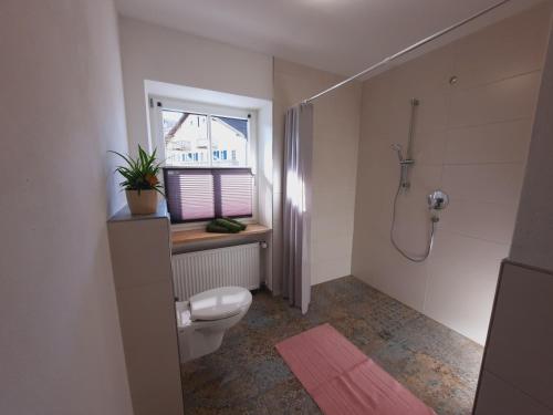 a bathroom with a toilet and a window at Pension Alter Wirt in Enkering