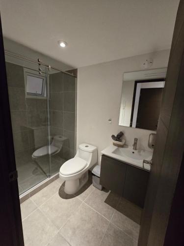 a bathroom with a toilet and a sink and a shower at Apartamento La Villa del Castillo in El Rodeo