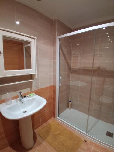 a bathroom with a sink and a shower at Ayalga2 in Villaviciosa