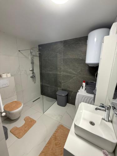 a bathroom with a shower and a sink and a toilet at OMA Residence in Ferizaj