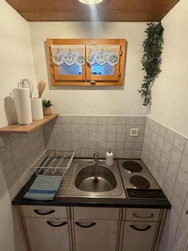 eine Küche mit Spüle und Arbeitsplatte in der Unterkunft Studio Idylle in Ringgenberg