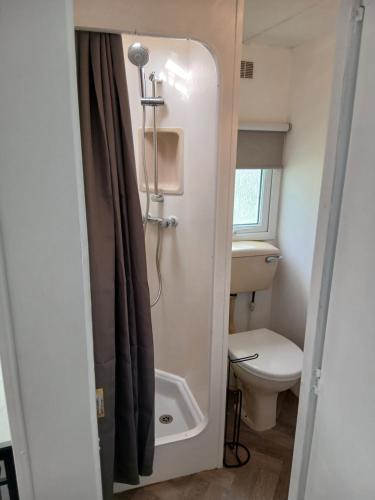a small bathroom with a toilet and a shower at Family friendly static in Pwllheli