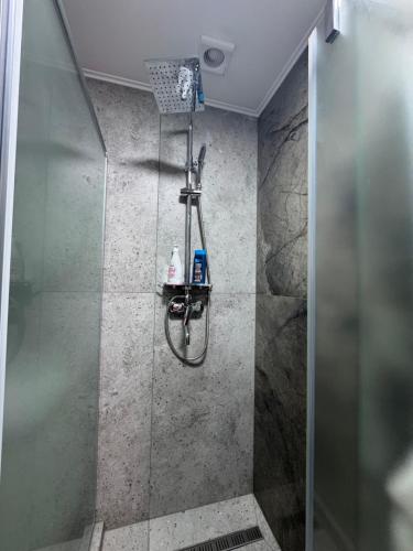 a shower with a glass door in a bathroom at Вича апартаменти in Sasivka