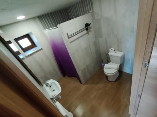 a bathroom with a toilet and a sink at refuxio de pambre in Palas de Rei
