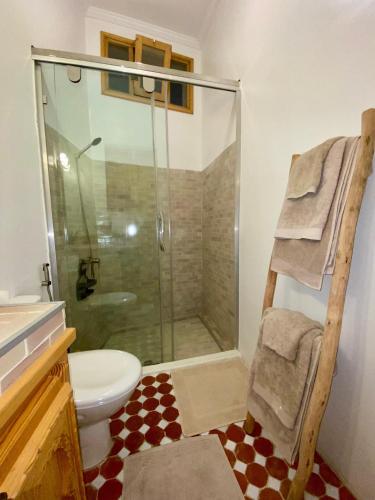 a bathroom with a glass shower and a toilet at Dar Dada Riad climatisé à votre disposition dans sa totalité et de façon exclusive in Safi