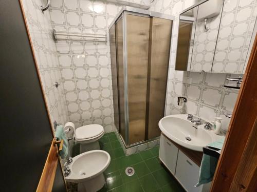a bathroom with a toilet and a sink and a shower at Terminillo Lo chalet in Terminillo