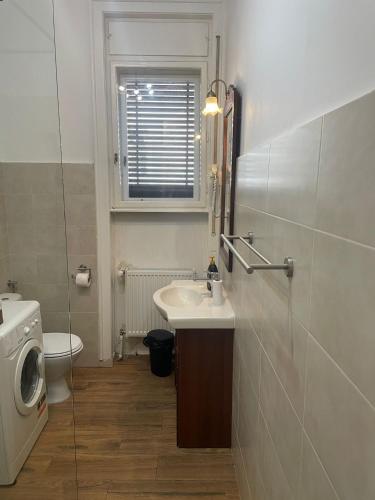 a bathroom with a sink and a toilet and a window at Rozelor Double Room in Timişoara