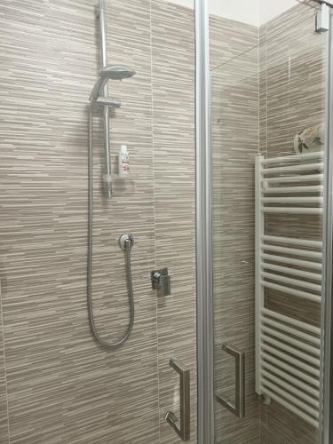 a shower with a shower head in a bathroom at Camera Valeria in Ossi