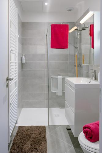 a bathroom with a shower and a toilet and a sink at Le Studio de l 'Avenue 1 à 3 Personnes in Valence