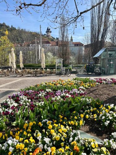 a garden of flowers in a park with statues at zimmer-graz in Graz