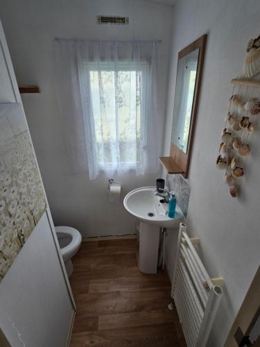 a bathroom with a sink and a toilet and a window at B17 Sunnymede Caravan Park, Fantasy Island, Ingoldmells in Ingoldmells