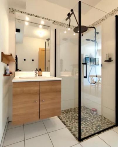 a bathroom with a sink and a shower at Iroise in Combrit