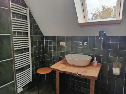 a bathroom with a sink on a wooden table at Ferienhof Maikito in Lalendorf