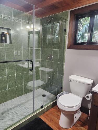 a bathroom with a toilet and a glass shower at Enchanted Jungle Treehouse in Spanish Lookout