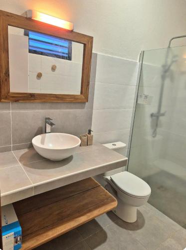 a bathroom with a sink and a toilet and a mirror at Private Suite in Kourou