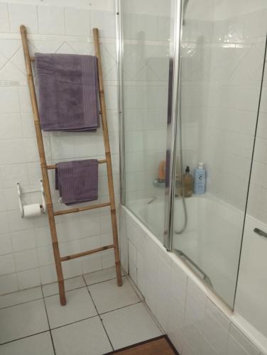 a bathroom with a shower and a bath tub with purple towels at Joli Studio à 5 min de la plage in Sainte-Anne