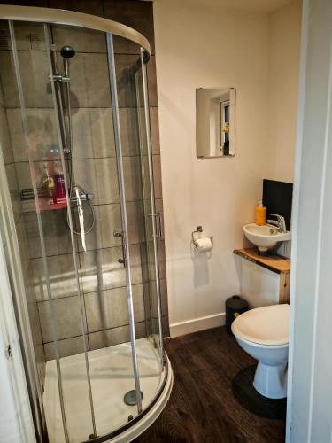 a bathroom with a shower with a toilet and a sink at Full Pint in Tain