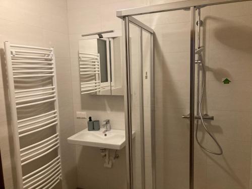 a white bathroom with a sink and a shower at Ferienhaus 'Rester in Habruck