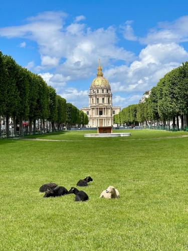 Luxury Apartment in Saint Germain des Pres