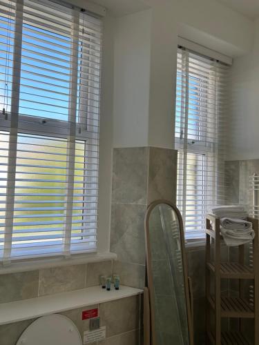a bathroom with a toilet and two windows and a mirror at Milton Lodge in Weston-super-Mare