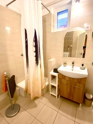 a bathroom with a sink and a shower at Lelle-kert Apartman 02 in Balatonlelle
