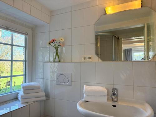 a bathroom with a sink and a mirror and towels at Altes Friesenhaus West in Morsum