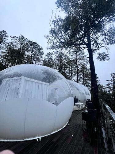 a couple of domes sitting on top of a deck at Wooden Inn - Cabañas Boutique y Bubble Glamping en Creel in Creel