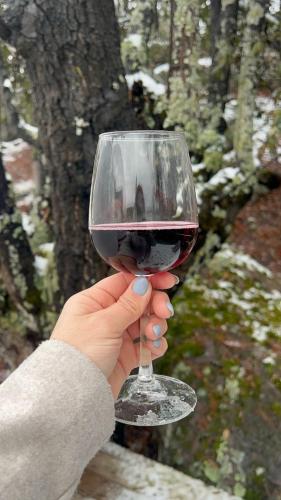a person holding a glass of red wine at Wooden Inn - Cabañas Boutique y Bubble Glamping en Creel in Creel