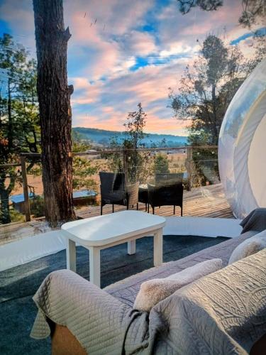 a living room with a white table and a tree at Wooden Inn - Cabañas Boutique y Bubble Glamping en Creel in Creel