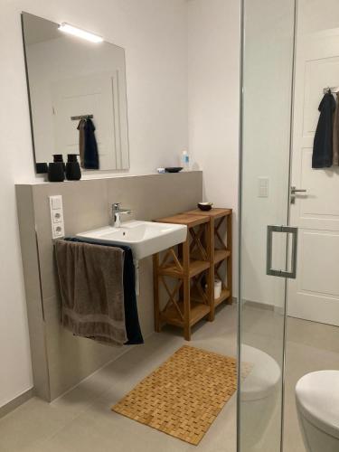 a bathroom with a sink and a mirror and a toilet at Ferienwohnung Strandmuschel in Lembruch