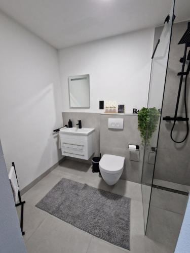 a bathroom with a toilet and a sink and a shower at Offline by Alexa in Lahnstein