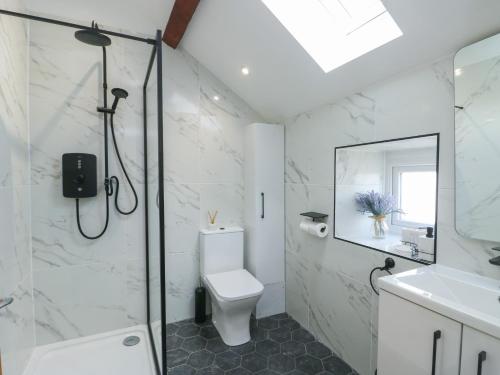 a bathroom with a shower and a toilet and a sink at Rhows in Llanfairpwllgwyngyll