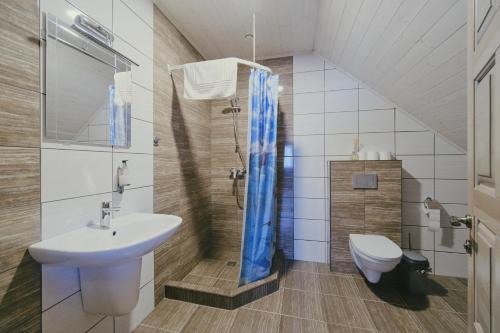 a bathroom with a sink and a toilet at Kaimo turizmo sodyba "Ąžuola" in Vainutas