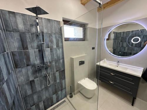 a bathroom with a shower and a toilet and a sink at Házikon 2 Apartman in Igricetanya