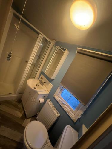 a small bathroom with a toilet and a sink at Millfields caravan park I9 in Skegness