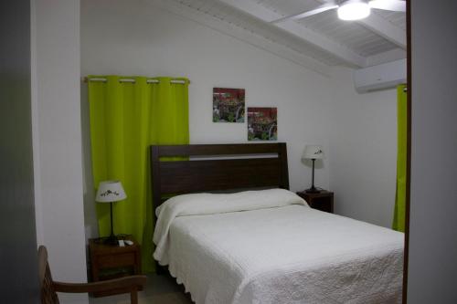 a bedroom with a bed with a green curtain at Grapes of Grace in Baie Nettle
