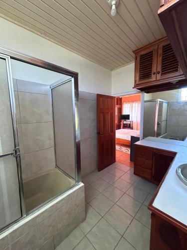 a bathroom with a shower and a sink at Pascall's Luxury Homes Villa in Lambeau