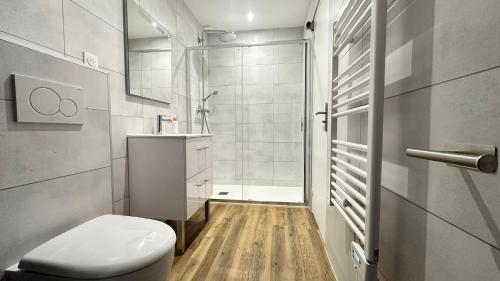 a small bathroom with a toilet and a shower at Les Myosotis in Vernon