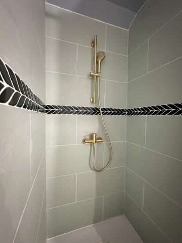 a shower with a hose in a bathroom at Escapade Chic in Renwez