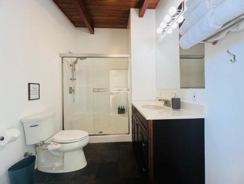 a bathroom with a shower and a toilet and a sink at Vynmir BeachPark Villa in Fort Bragg