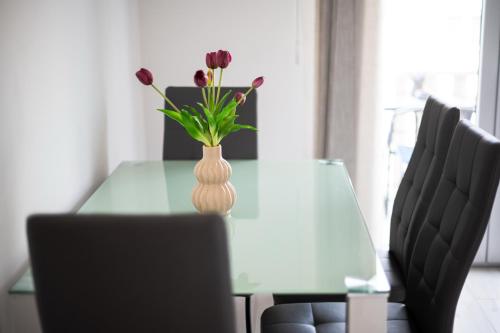 Apartmani Kozina